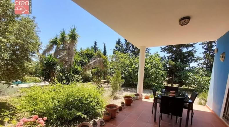 Murcia - Murcia - 7300m2