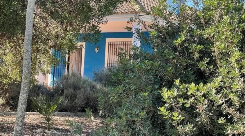 Murcia - Murcia - 7300m2