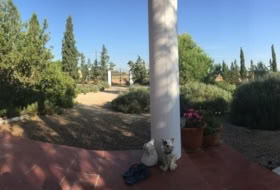 Foto 15