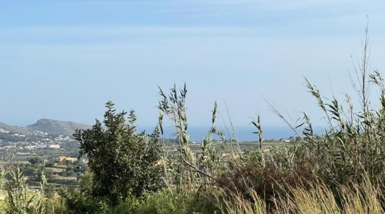Alicante - Teulada - 7318m2