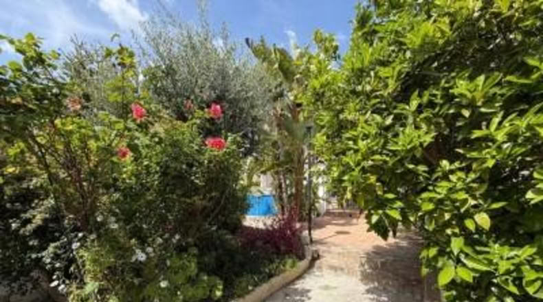 Таррагона - Sant Jaume dels Domenys - 283m2