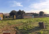Detached villa with land for sale on España, Mérida, ref: TR405296 photo