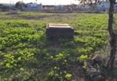 Detached villa with land for sale on España, Mérida, ref: TR405296 photo