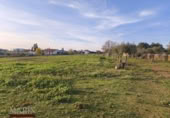 Detached villa with land for sale on España, Mérida, ref: TR405296 photo