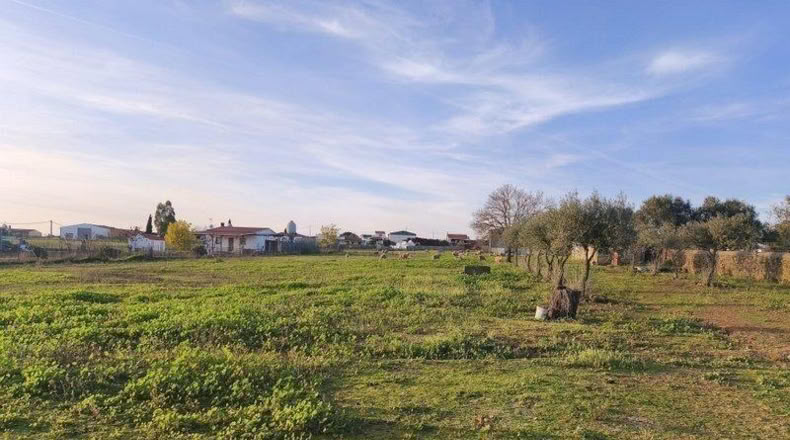 Badajoz - Mérida - 16315m2