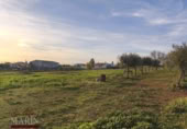 Detached villa with land for sale on España, Mérida, ref: TR405296 photo