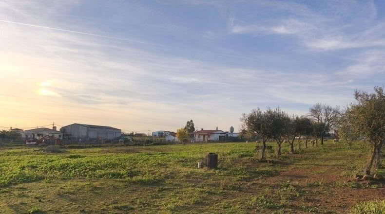 Badajoz - Mérida - 16315m2