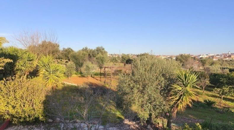 Badajoz - Mérida - 16315m2