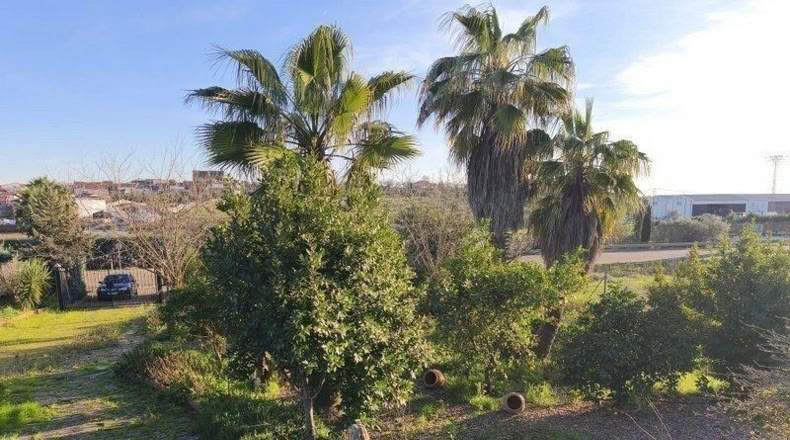 Badajoz - Mérida - 16315m2