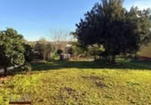 Detached villa with land for sale on España, Mérida, ref: TR405296 photo