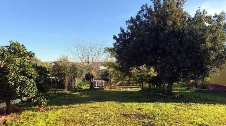 Badajoz - Mérida - 16315m2