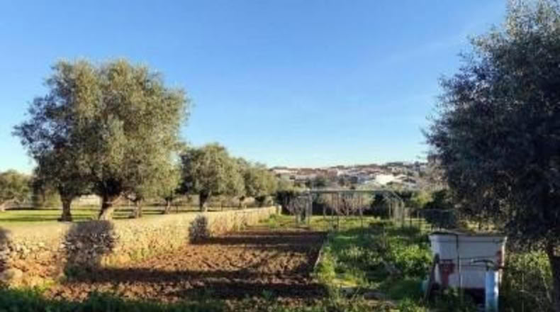 Badajoz - Mérida - 16315m2