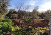 Detached villa with land for sale on España, Mérida, ref: TR405296 photo