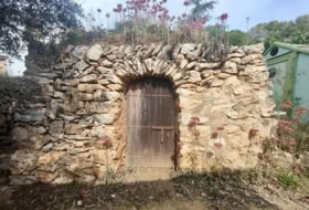 Foto 15