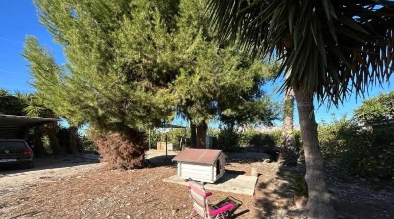 Alicante - Orihuela - 16000m2