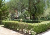 Casa de camp amb terreny en venda a la España, Cocentaina, ref.: TR404071 foto