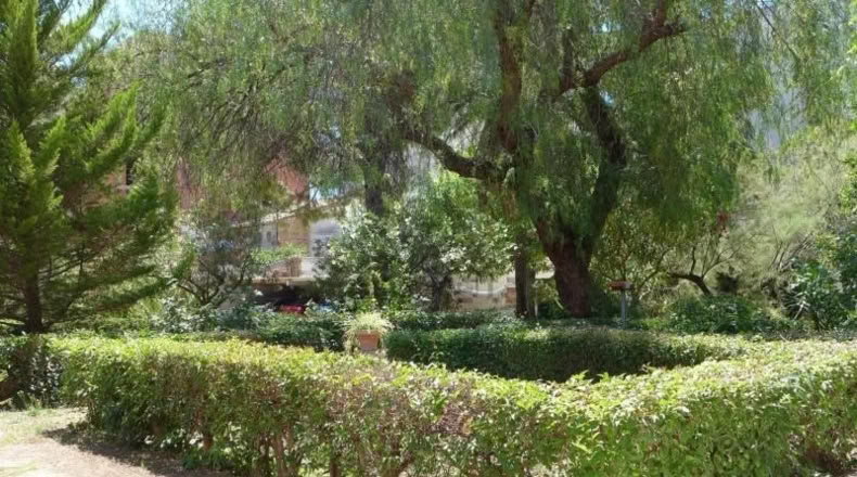 Alicante - Cocentaina - 1500m2