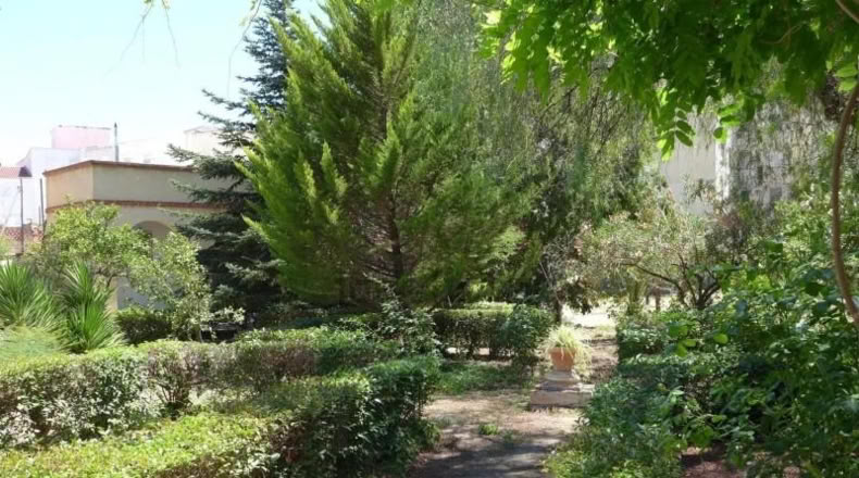 Alicante - Cocentaina - 1500m2