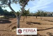 Xalet independent amb terreny en venda a la España, El Puerto de Santa María, ref.: TR389176 foto