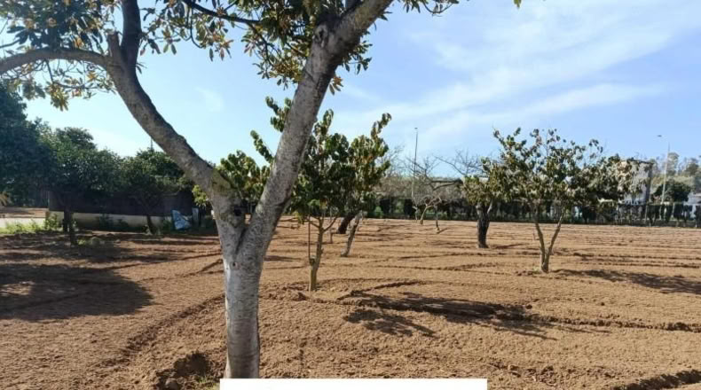 Cádiz - El Puerto de Santa María - 5794m2
