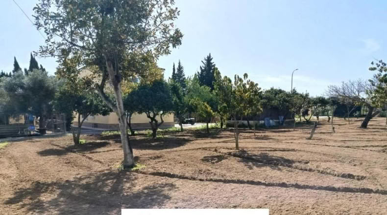 Cádiz - El Puerto de Santa María - 5794m2