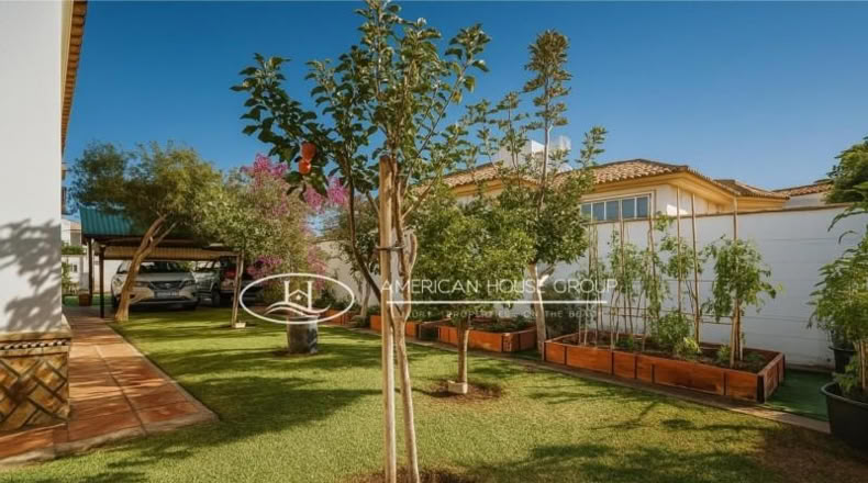 Cádiz - Chiclana de la Frontera - 1000m2