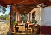 Xalet independent amb terreny en venda a la España, Elx, ref.: TR173598 foto