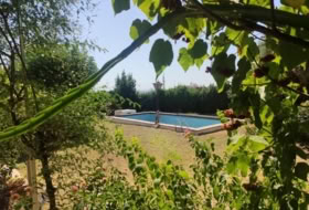 Foto 10