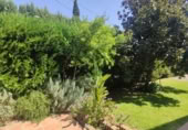 Xalet independent amb terreny en venda a la España, Tomares, ref.: TR318950 foto