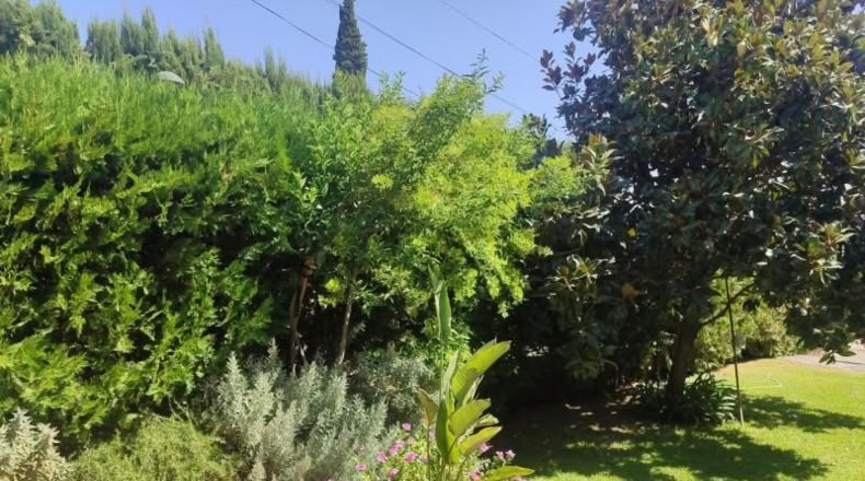 Sevilla - Tomares - 1047m2