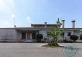 Xalet independent amb terreny en venda a la España, Elx, ref.: TR337663 foto