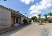 Xalet independent amb terreny en venda a la España, Elx, ref.: TR337663 foto