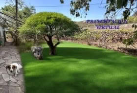 Foto 8