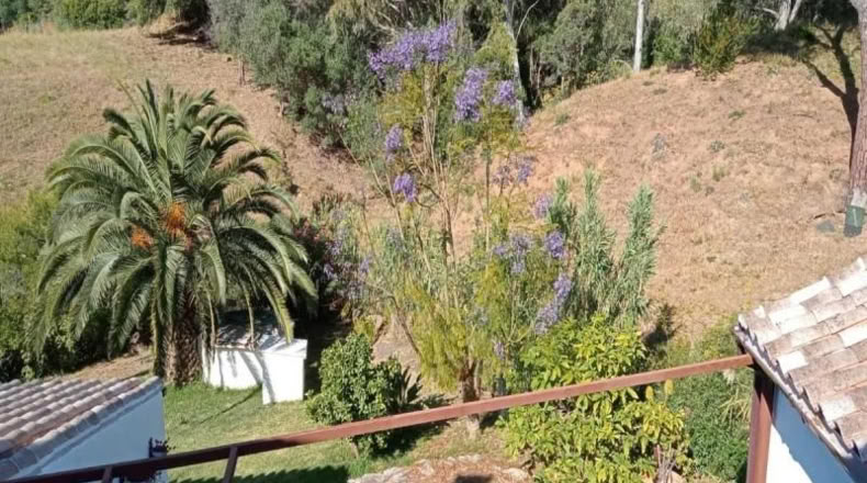 Малага - Casares - 24990m2