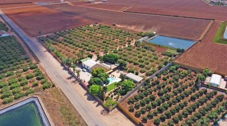 Murcia - Cartagena - 30000m2