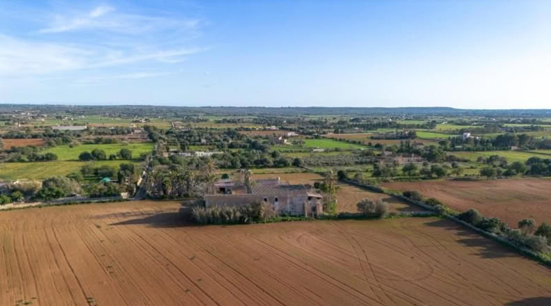 Balearic Islands - Campos - 1409m2