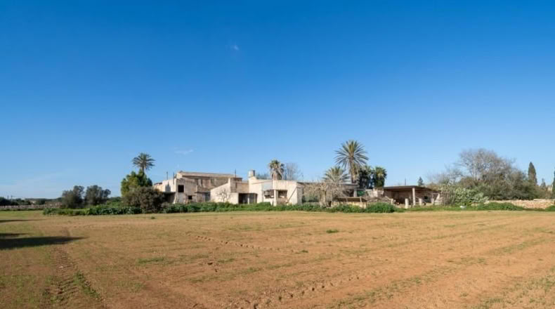 Balearic Islands - Campos - 1409m2