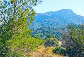 Benissa 16845&nbsp;m² 