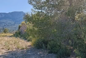 Benissa 16845&nbsp;m² 