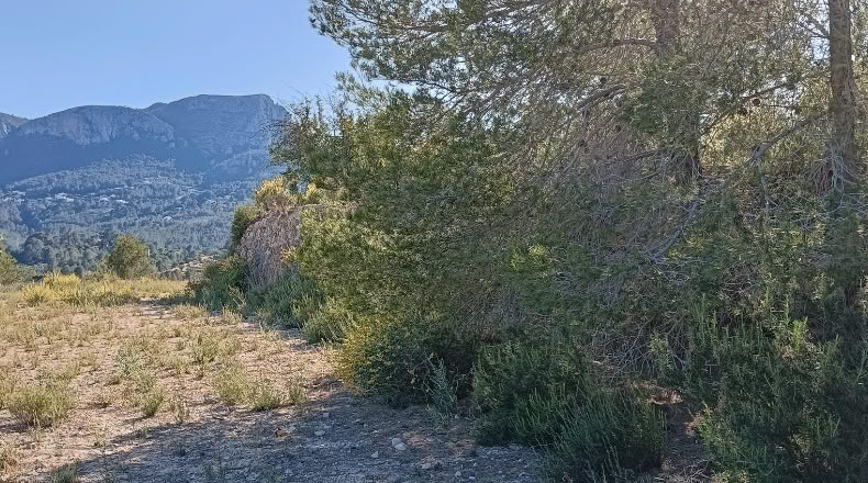Alicante - Benissa - 16845m2