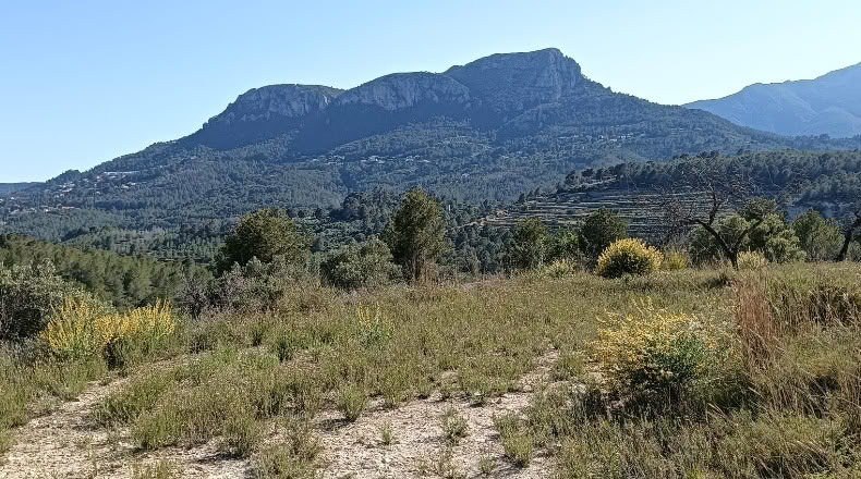 Alicante - Benissa - 16845m2
