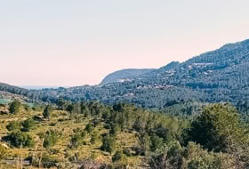 Benissa 16845&nbsp;m² 