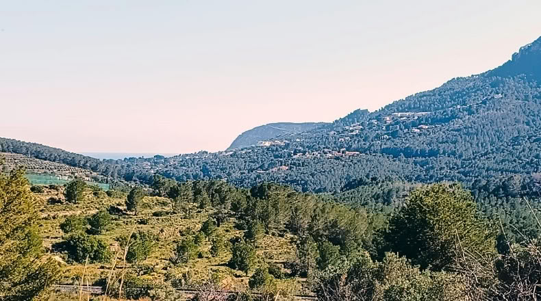 Alicante - Benissa - 16845m2