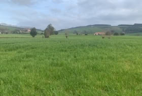 Galizano 11959&nbsp;m²
