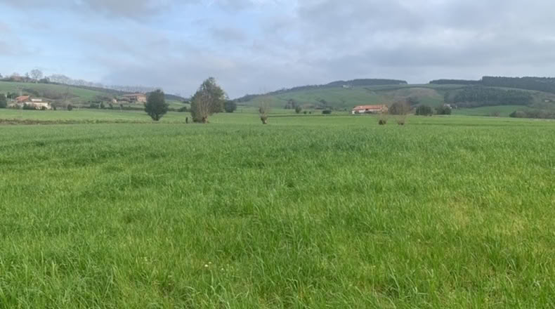 Cantabria - Galizano - 11959m2