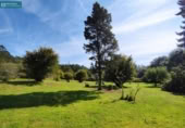 Finca rústica en venda a la España, O Barral, ref.: TR366146 foto