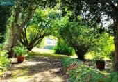 Finca rústica en venda a la España, O Barral, ref.: TR366146 foto