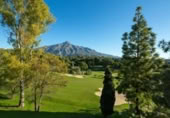 Xalet independent amb terreny en venda a la España, Marbella, ref.: TR333869 foto