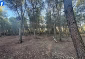 Non-developable land for sale in Roquetes ref: TR405328 photo