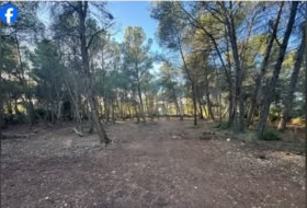 Roquetes 15000&nbsp;м²